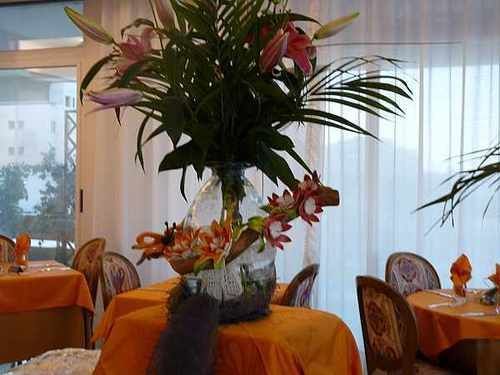 Hotel Benini 4*